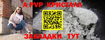 Альфа ПВП Ростов Великий