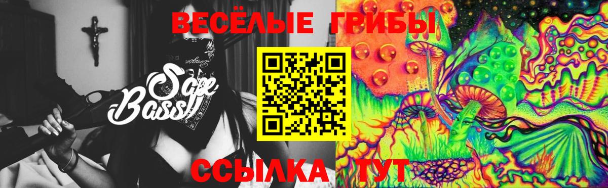 Дивногорск  Псилоцибиновые грибы Cubensis  Вход с VPN 